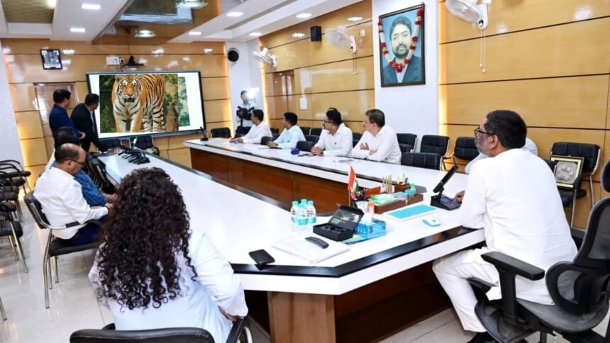 झारखंड में शुरु होगा टाइगर सफारी, मुख्यमंत्री हेमंत सोरेन ने प्रोजेक्ट को दी हरी झंडी...लातेहार के इस गांव में बनाने का प्रस्ताव 1 tiger safari jharkhand