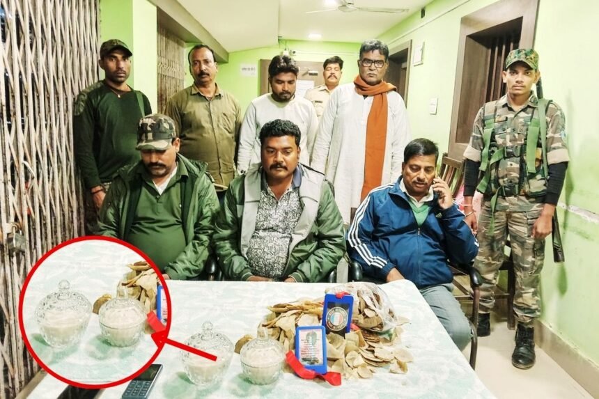 पलामू में सांप का जहर बरामद, बाजार में इसकी कीमत 80 करोड़ रुपये, पुलिस ने तीन को किया गिरफ्तार