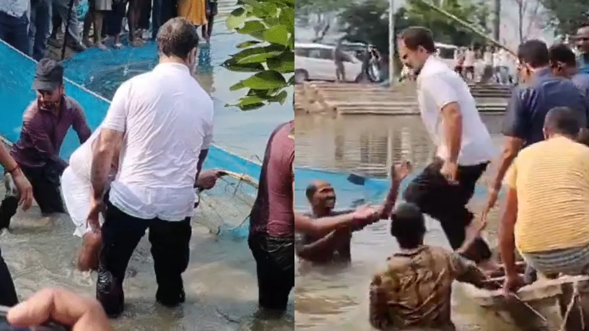 बिहार में चुनाव प्रचार के दौरान मछली पकड़ते नजर आए राहुल गांधी, तालाब में लगाई छलांग, देखें VIDEO