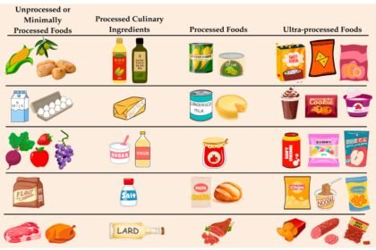 cancers 17 02064 g001