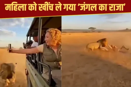 lion-attack-on-woman