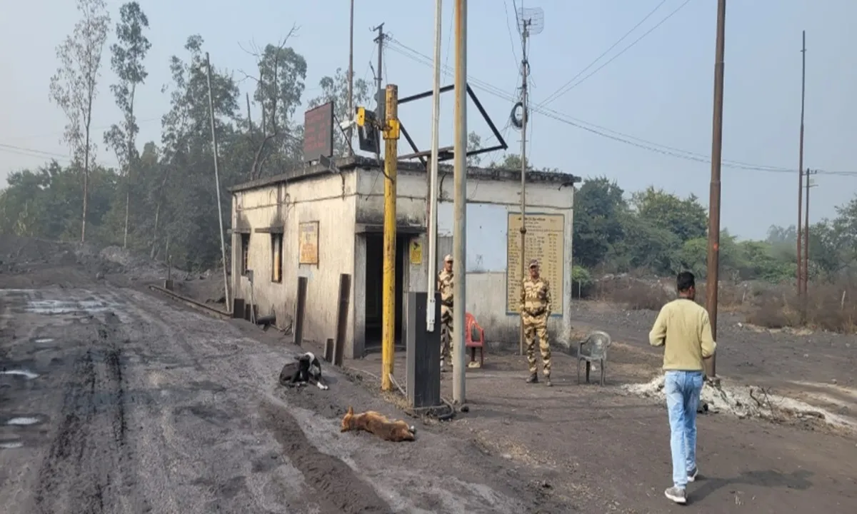 TSPC के डर से पिपरवार में कोयला कारोबार पर ब्रेक, कथित धमकी से फैला सन्नाटा