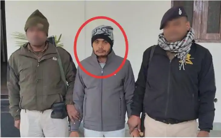 8827ea56 c32f 494f a252 19411013a13f