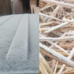 मैक्लुस्कीगंज में तापमान माइनस 2 डिग्री, खूंटी में पारा पहुंचा 1.5, सात जिलों में ठंड को लेकर ऑरेंज अलर्ट