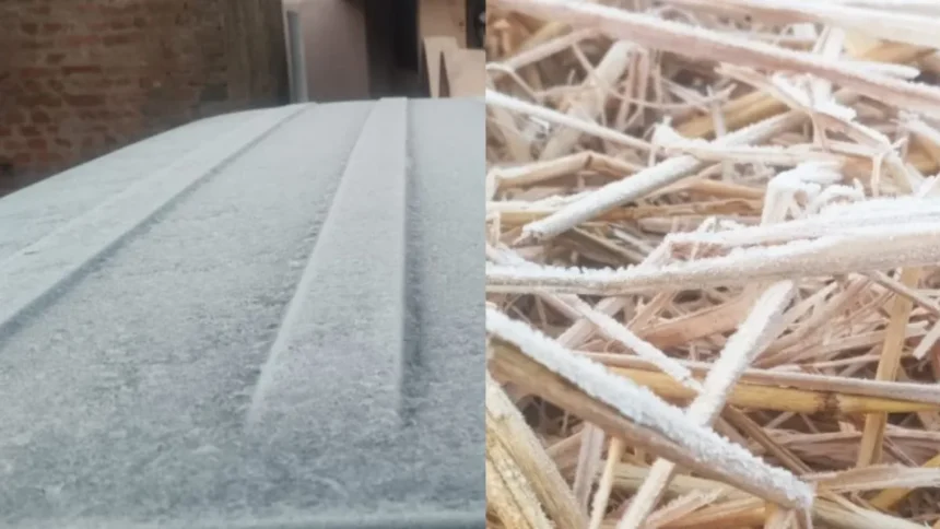 मैक्लुस्कीगंज में तापमान माइनस 2 डिग्री, खूंटी में पारा पहुंचा 1.5, सात जिलों में ठंड को लेकर ऑरेंज अलर्ट 1 मैक्लुस्कीगंज में तापमान माइनस 2 डिग्री, खूंटी में पारा पहुंचा 1.5, सात जिलों में ठंड को लेकर ऑरेंज अलर्ट