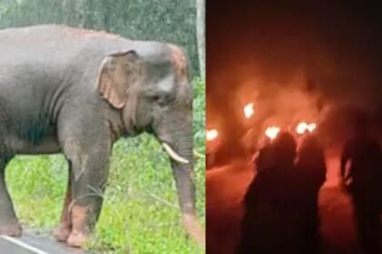 झारखंड में जंगली हाथी का कहर जारी, एक रात में 7 लोगों को मार डाला, अब तक 17 लोगें की गई जान