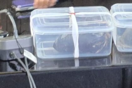 रांची पुलिस ने अफीम तस्कर गिरोह का किया भंडाफोड़, 3.7 किलो अफीम के साथ एक गिरफ्तार