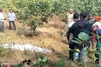 ससुराल के बगान में पेड़ से लटका मिला एक व्यक्ति का शव, इलाके में फैली सनसनी