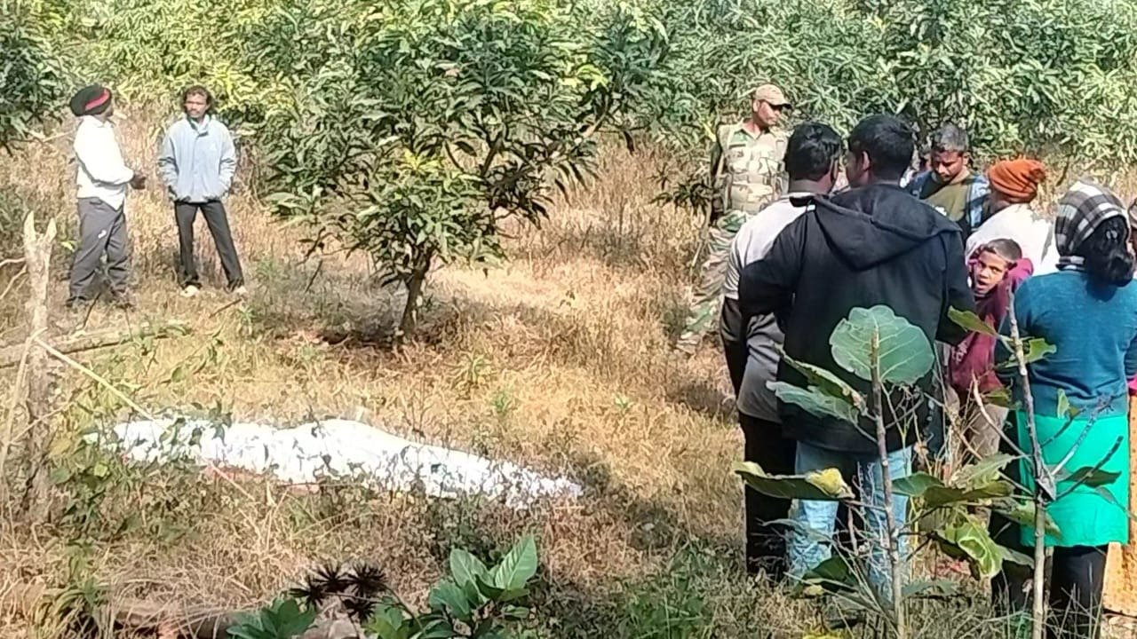 ससुराल के बगान में पेड़ से लटका मिला एक व्यक्ति का शव, इलाके में फैली सनसनी