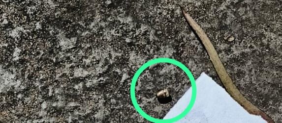 WhatsApp Image 2026 01 05 at 10.27.45 PM