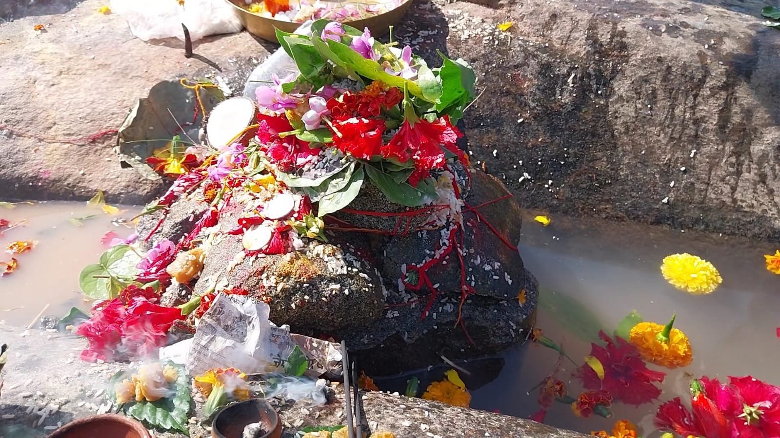 WhatsApp Image 2026 01 15 at 2.59.31 PM