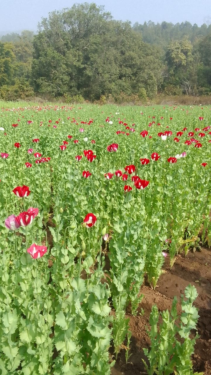 WhatsApp Image 2026 01 31 at 6.51.14 PM 1