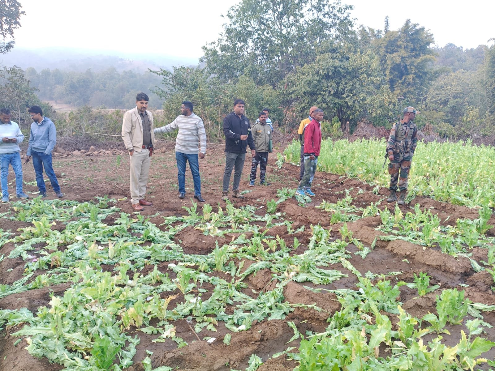 WhatsApp Image 2026 01 31 at 6.51.14 PM