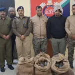 kif2lvp8 turtles 625x300 19 January 26