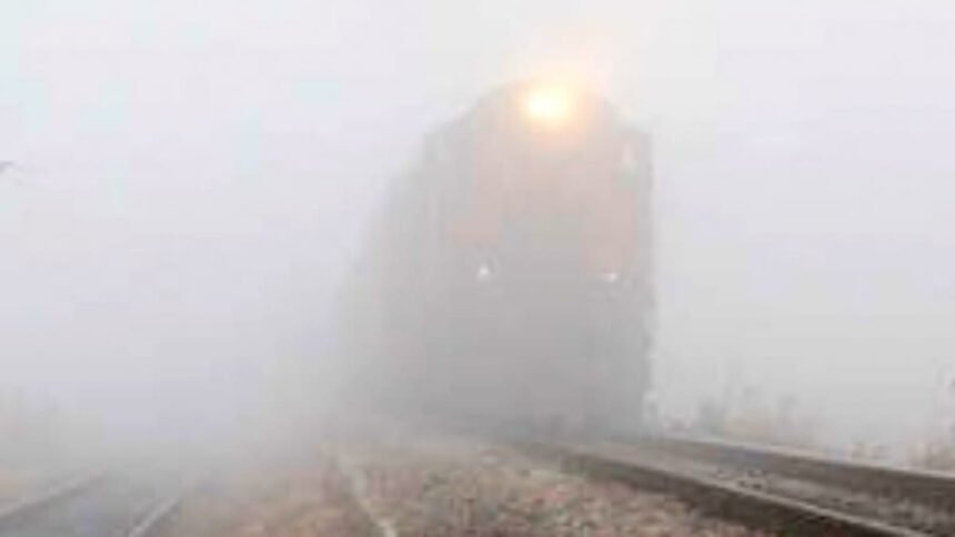 पटना कोहरे की चादर में लिपटी, जनजीवन अस्त व्यस्त, हवाई और रेल यातायात प्रभावित