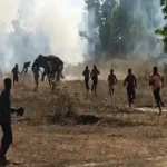 चाईबासा में 20 लोगों की जान लेनेवाला दंतेल हाथी फिर हुआ गायब, 30 गांवों में हाई अलर्ट