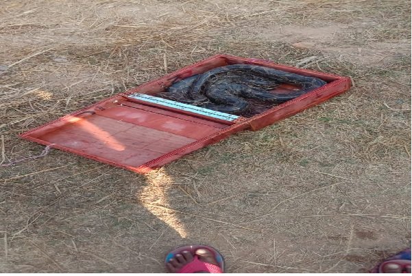 web file item 9990 14 1 2026 15 39 15