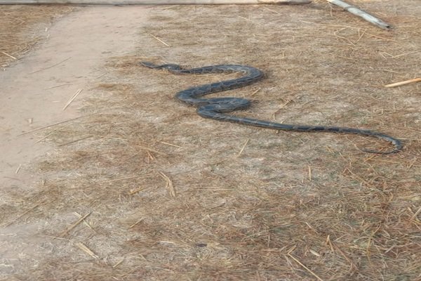 web file item 9990 14 1 2026 15 41 39