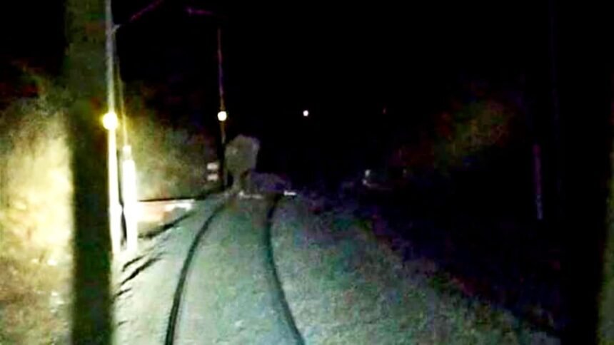 मालगाड़ी की टक्कर से हाथी के बच्चे की मौत, हाथियों ने बरकाकाना-बरवाडीह रेल लाइन को किया ठप, कई ट्रेनें फंसी रही