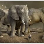 बोकारो में हाथियों को उत्पात, दो दिन में पांच की मौत, इलाके में दहशत