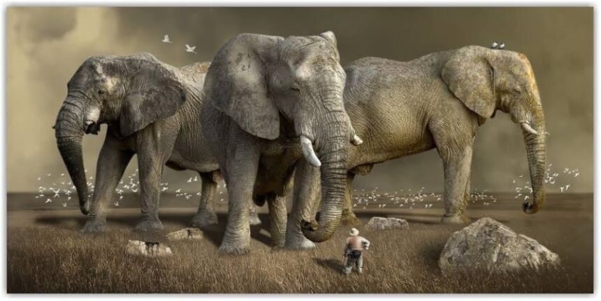 बोकारो में हाथियों को उत्पात, दो दिन में पांच की मौत, इलाके में दहशत