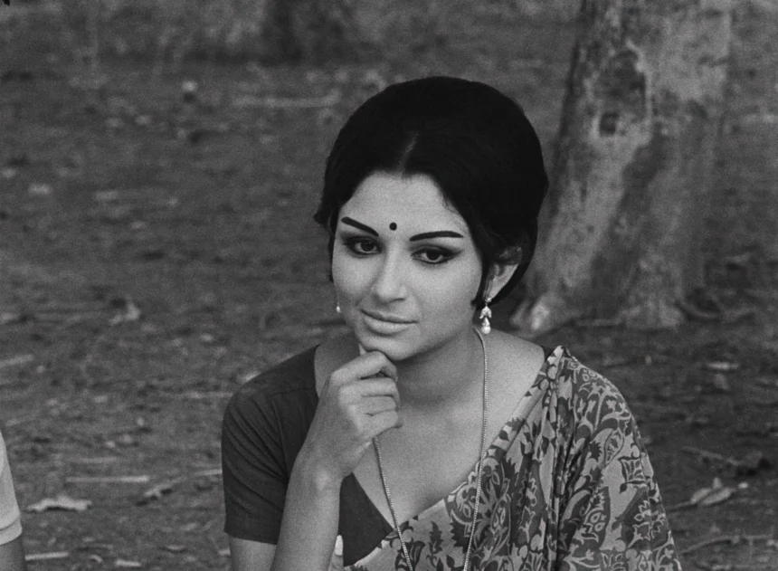 DaysAndNightsInForest_image_05