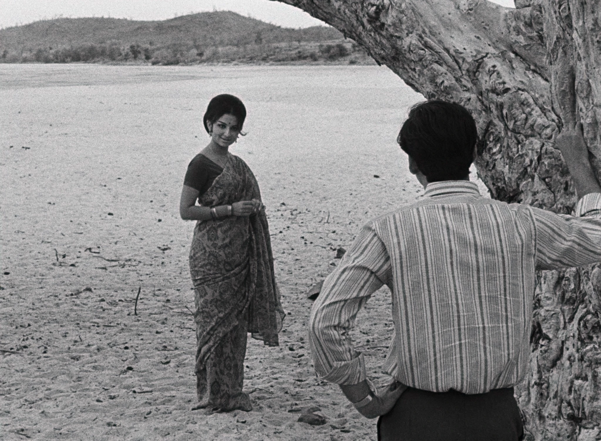 DaysAndNightsInForest image 06