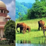 झारखंड सरकार ने सारंडा अभयारण्य संबंधी आदेश पर सुप्रीम कोर्ट में पुनर्विचार याचिका दायर की, विधायक सरयू रॉय का दावा