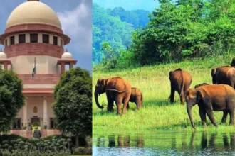 झारखंड सरकार ने सारंडा अभयारण्य संबंधी आदेश पर सुप्रीम कोर्ट में पुनर्विचार याचिका दायर की, विधायक सरयू रॉय का दावा