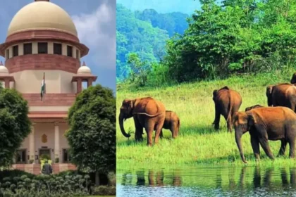 झारखंड सरकार ने सारंडा अभयारण्य संबंधी आदेश पर सुप्रीम कोर्ट में पुनर्विचार याचिका दायर की, विधायक सरयू रॉय का दावा