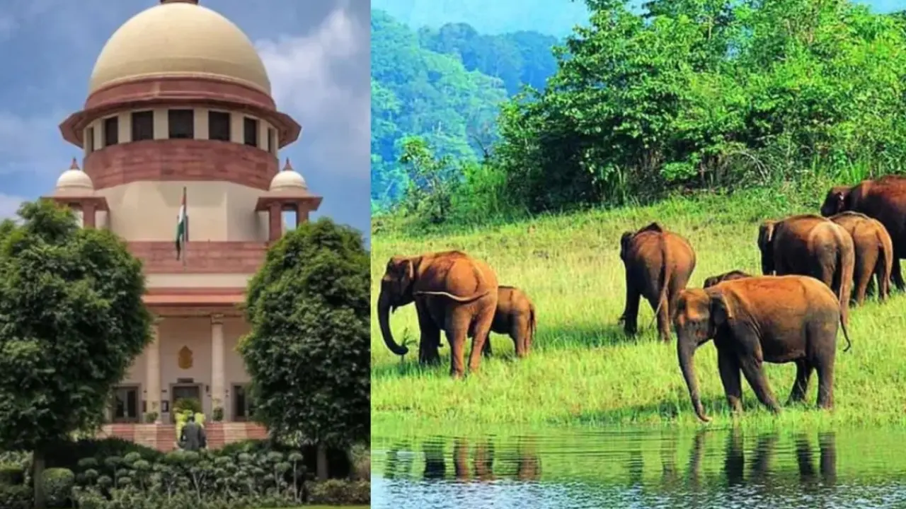 झारखंड सरकार ने सारंडा अभयारण्य संबंधी आदेश पर सुप्रीम कोर्ट में पुनर्विचार याचिका दायर की, विधायक सरयू रॉय का दावा