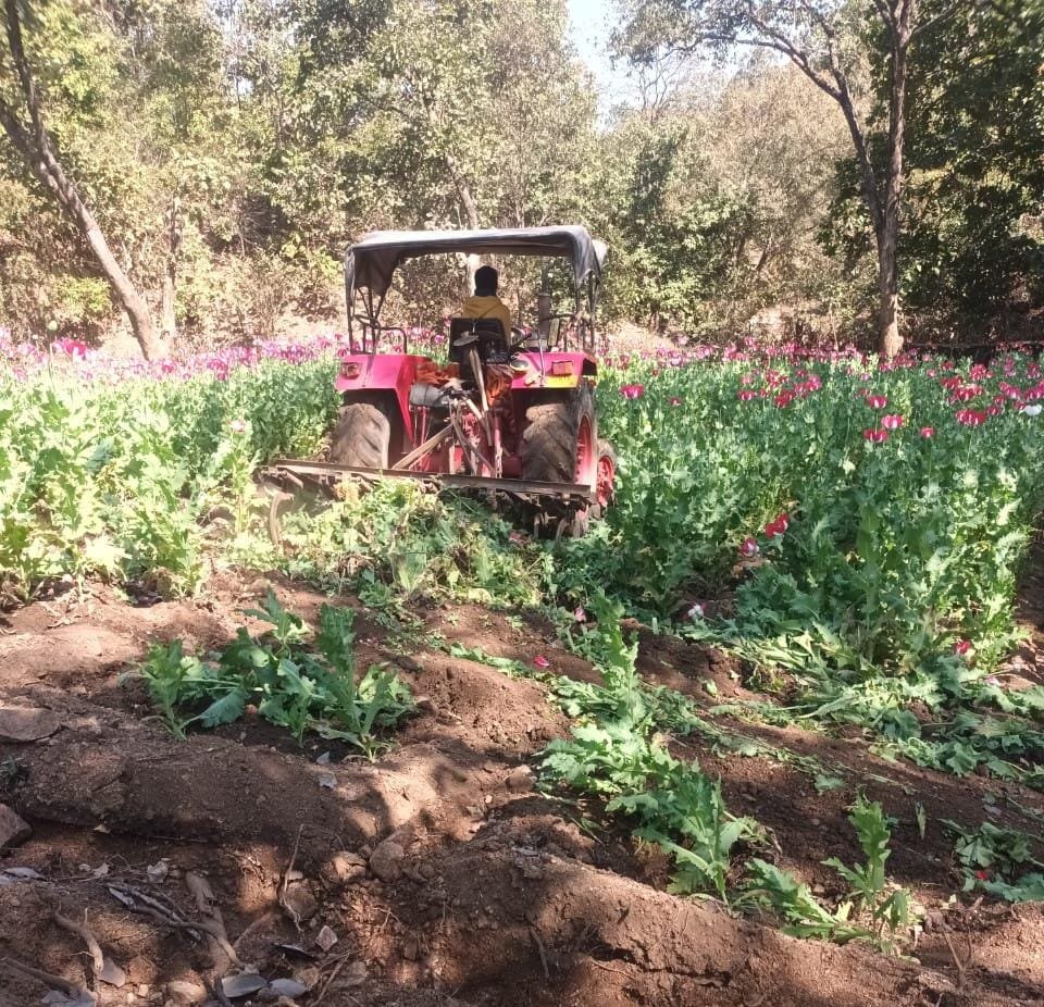 WhatsApp Image 2026 02 08 at 10.13.42 AM