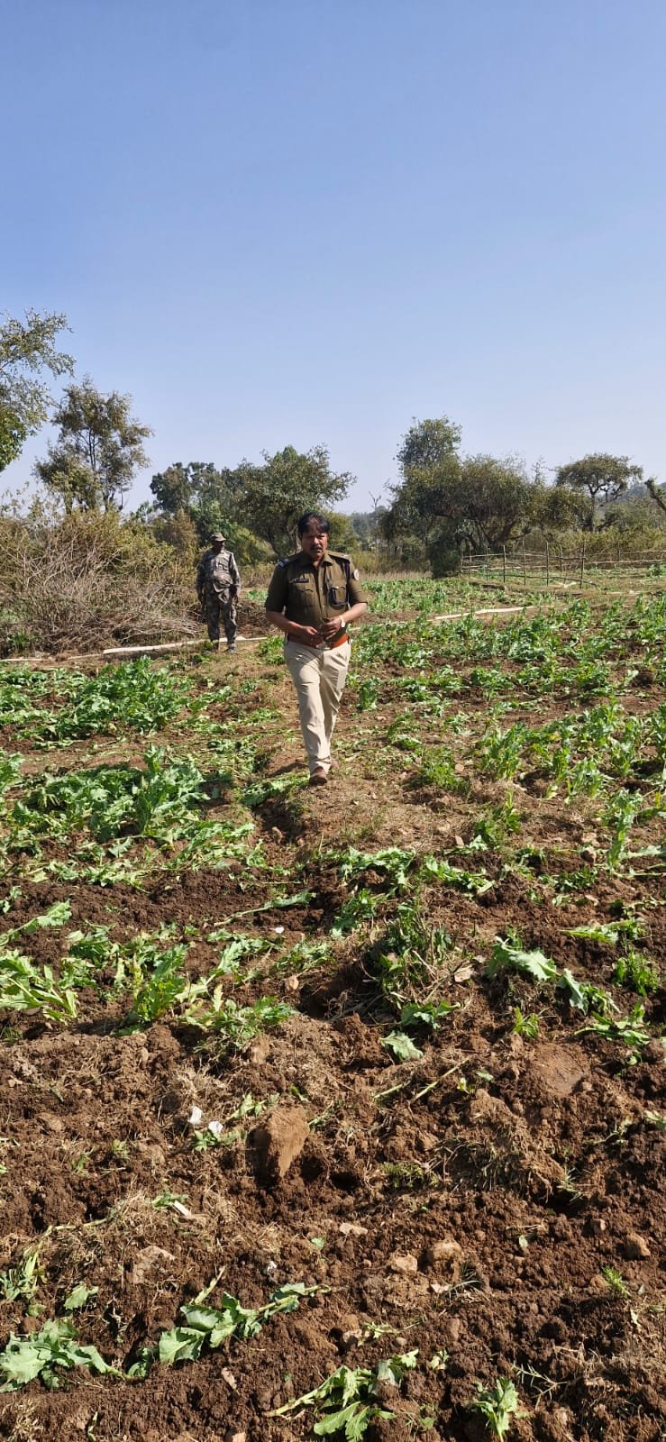 WhatsApp Image 2026 02 08 at 7.56.02 PM