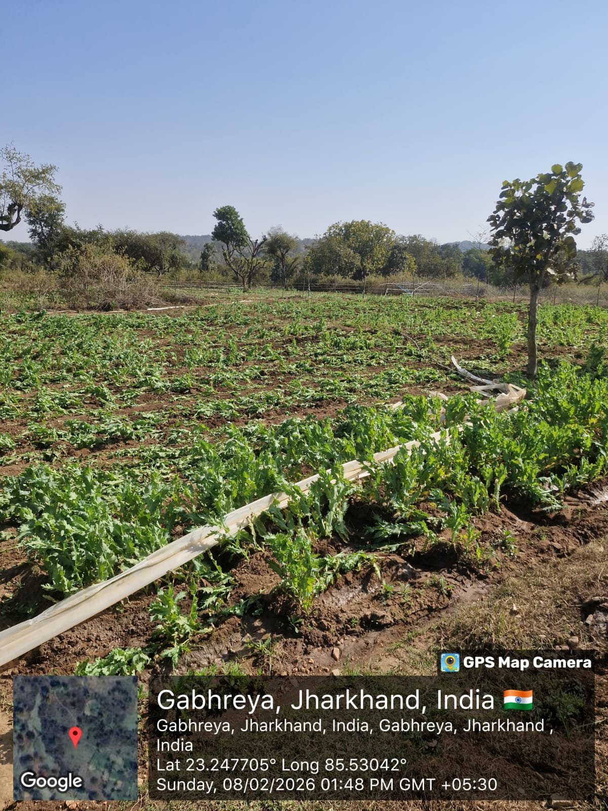 WhatsApp Image 2026 02 08 at 7.56.03 PM