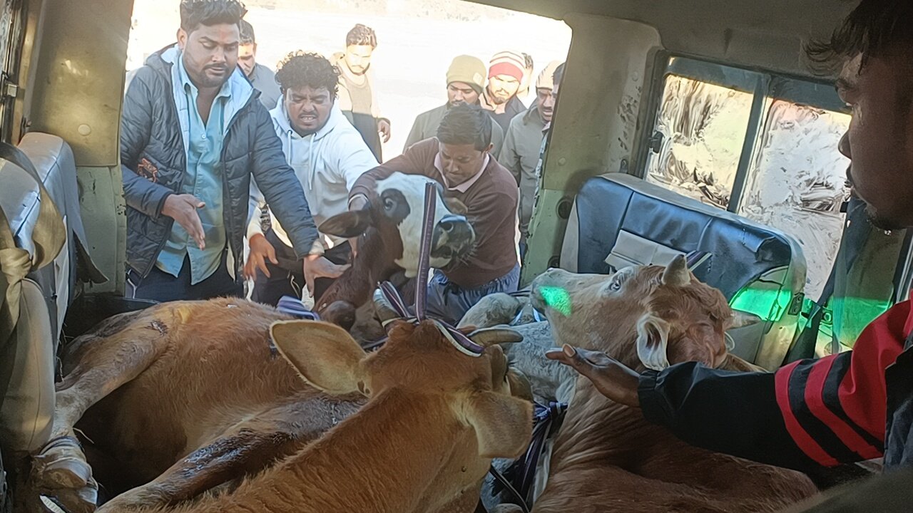 WhatsApp Image 2026 02 08 at 9.33.39 AM