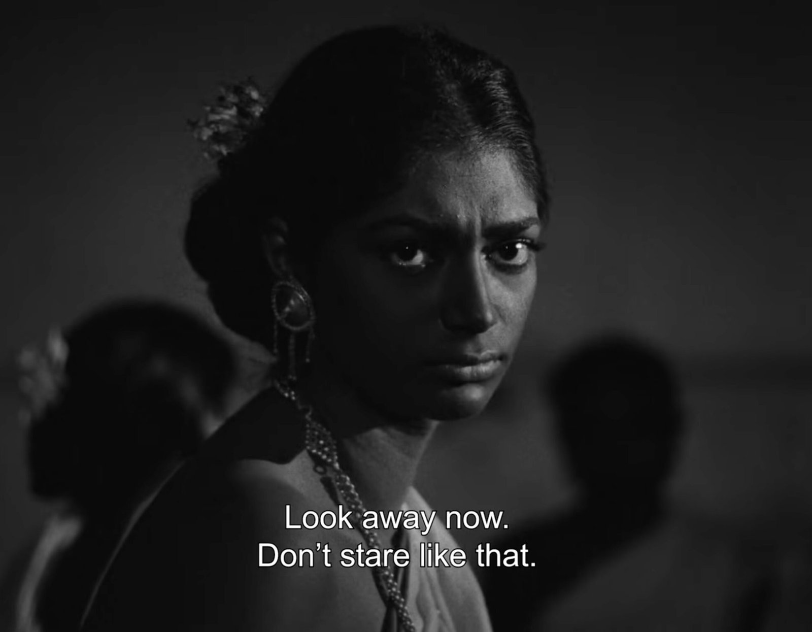 Days and Night in the Forest