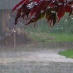 झारखंड में फिर बदलेगा मौसम, आज और कल बारिश के आसार