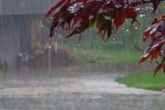 झारखंड में फिर बदलेगा मौसम, आज और कल बारिश के आसार