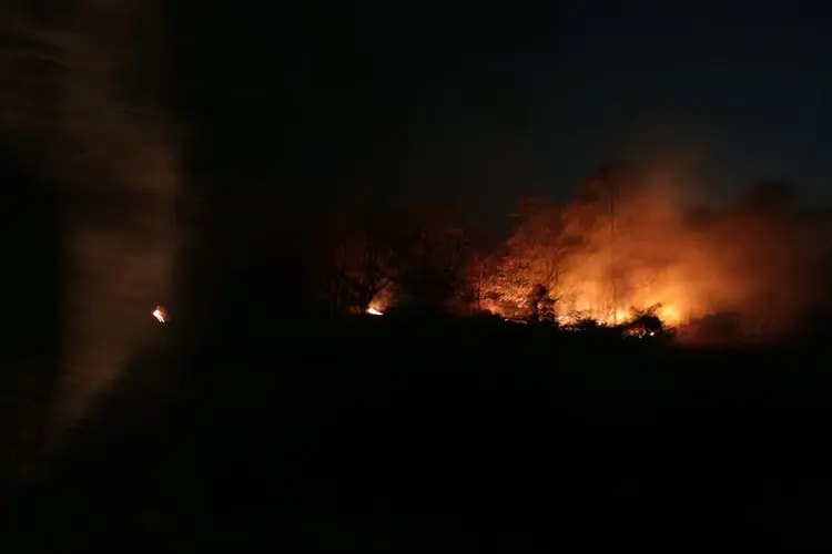 गिरिडीह के पीरटांड जंगल में फिर लगी आग, जड़ी-बूटियों और वन्यजीवों को भारी नुकसान