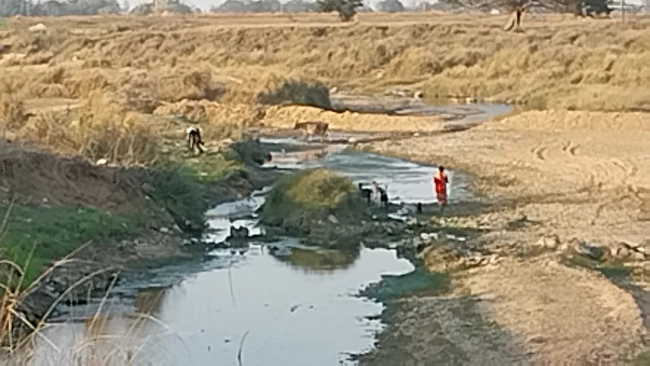 WhatsApp Image 2026 03 03 at 6.21.14 PM