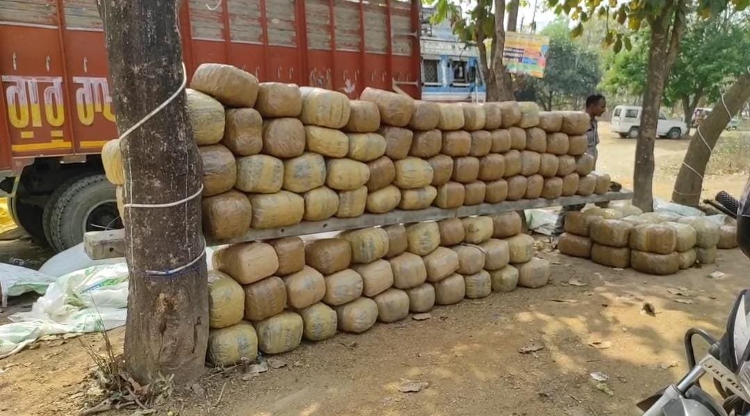 लातेहार पुलिस को मिली बड़ी सफलता, करोड़ों का गांजा किया बरामद, रांची से मेदिनीनगर की ओर जा रहा था ट्रक