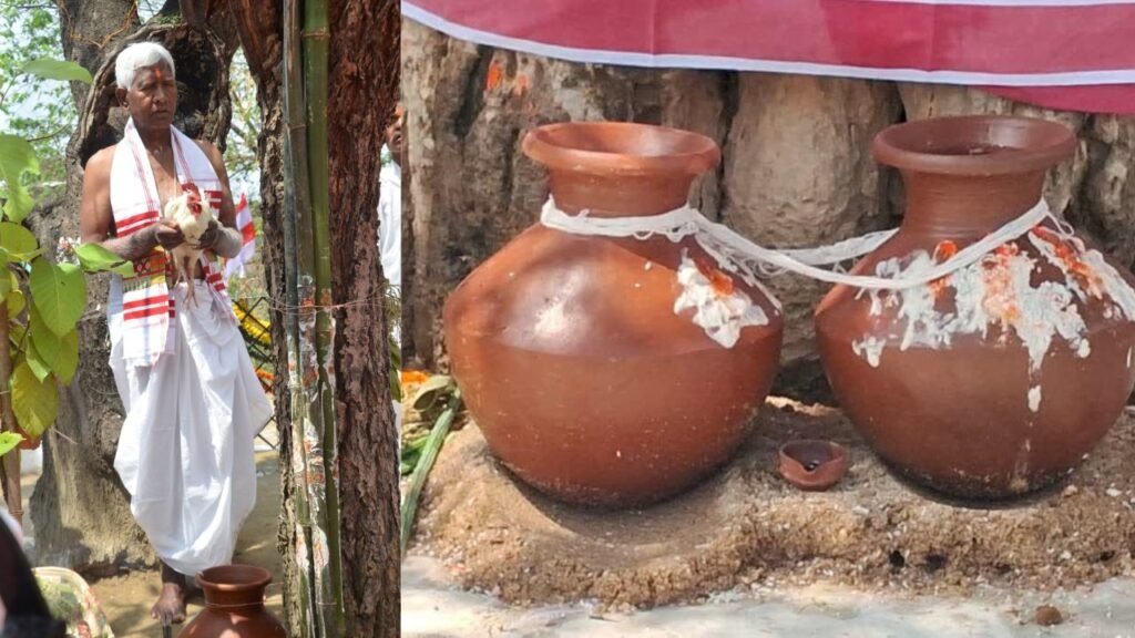 सरहुल की झारखंड में धूम, पाहन ने की झमाझम बारिश की भविष्यवाणी, अन्न से भरे रहेंगे भंडार