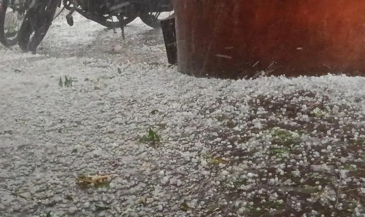 web file item 395f 21 3 2026 16 37 50