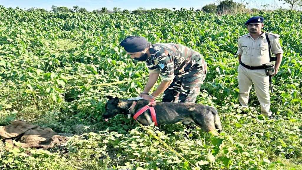 बिहार में 6 दोस्तों ने मिलकर एक दोस्त कर कर दी निर्मम हत्या, चार दिन बाद वाल्मीकि टाइगर रिजर्व के जंगल में मिला शव