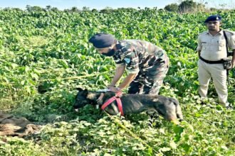 बिहार में 6 दोस्तों ने मिलकर एक दोस्त कर कर दी निर्मम हत्या, चार दिन बाद वाल्मीकि टाइगर रिजर्व के जंगल में मिला शव