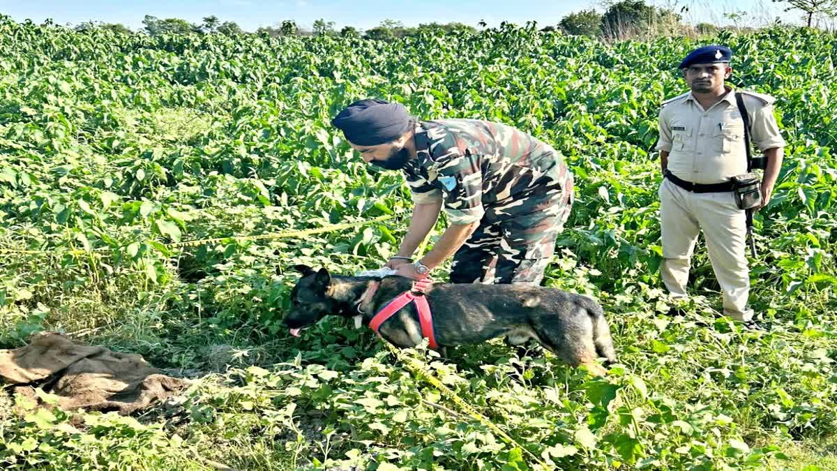 बिहार में 6 दोस्तों ने मिलकर एक दोस्त कर कर दी निर्मम हत्या, चार दिन बाद वाल्मीकि टाइगर रिजर्व के जंगल में मिला शव
