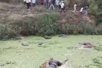 हजारीबाग के दंदाहा नदी में तीन भाई-बहनों के शव मिलने से सनसनी, परिजनों ने जताई हत्या की आशंका