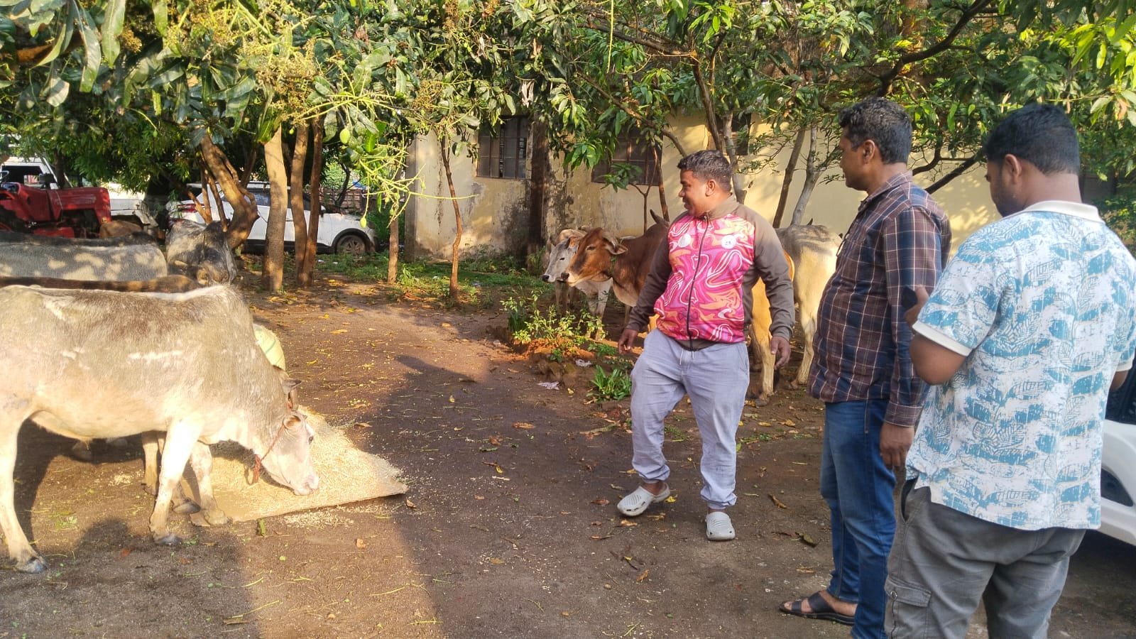 WhatsApp Image 2026 04 05 at 3.49.51