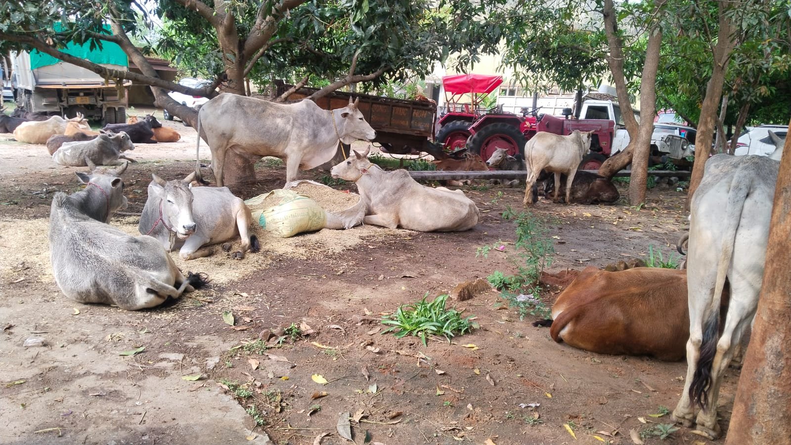 WhatsApp Image 2026 04 05 at 3.49.51 PM