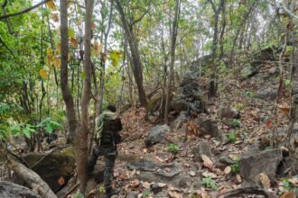 WhatsApp Image 2026 04 17 at 18.03.00